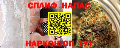 молекула духа Славянск-на-Кубани