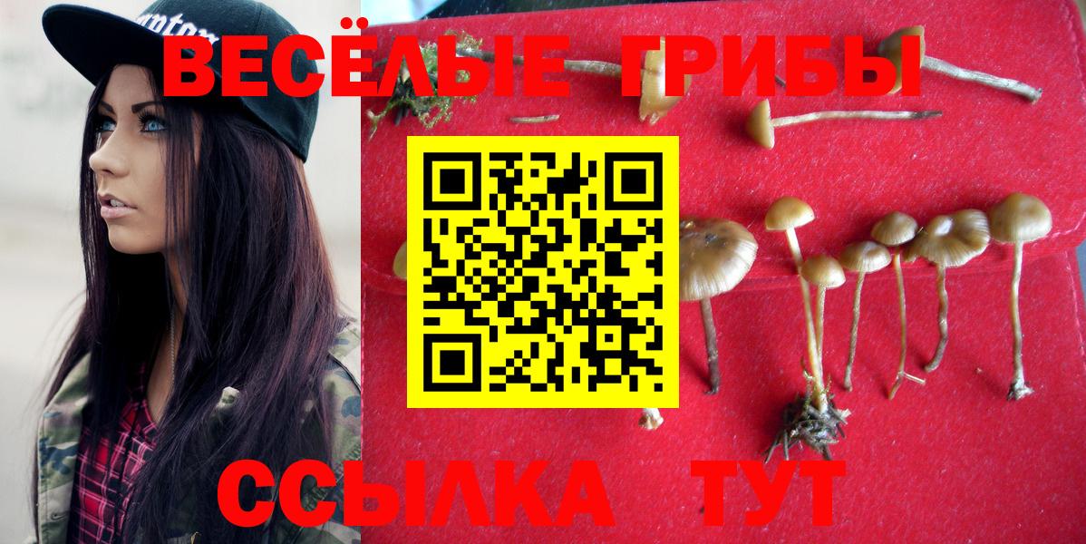 Псилоцибиновые грибы Magic Shrooms  Вход с VPN  купить  цена  Орёл 