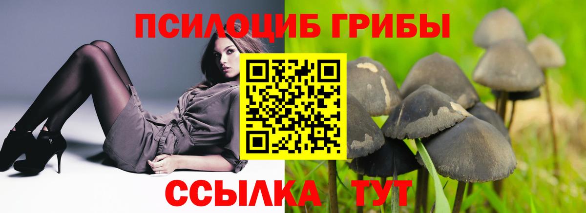 Псилоцибиновые грибы MAGIC MUSHROOMS Орёл